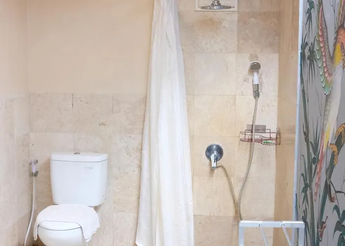 Ary House 2* Ubud (Bali)