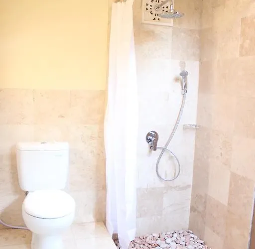 Ary House 2* Ubud (Bali)